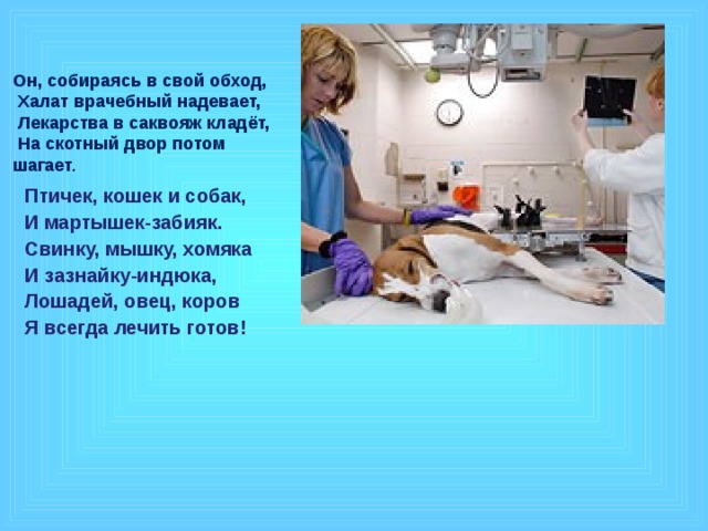 Он, собираясь в свой обход,  Халат врачебный надевает,  Лекарства в саквояж кладёт,  На скотный двор потом шагает .  Птичек, кошек и собак, И мартышек-забияк. Свинку, мышку, хомяка И зазнайку-индюка, Лошадей, овец, коров Я всегда лечить готов! 