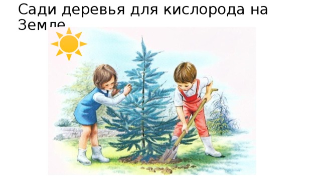 Сади деревья для кислорода на Земле 