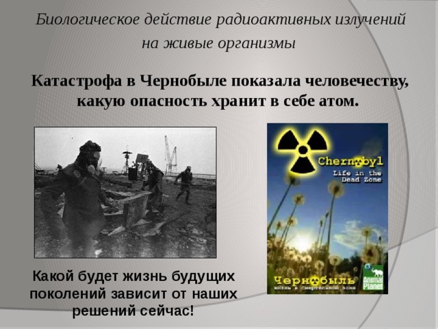 Биологическое действие радиоактивных излучений на живые организмы Катастрофа в Чернобыле показала человечеству, какую опасность хранит в себе атом. Какой будет жизнь будущих поколений зависит от наших решений сейчас! 