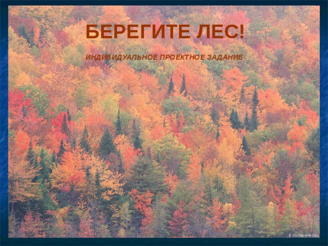 БЕРЕГИТЕ ЛЕС! ИНДИВИДУАЛЬНОЕ ПРОЕКТНОЕ ЗАДАНИЕ 