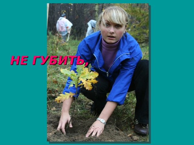 НЕ ГУБИТЬ,         А БЕРЕЧЬ! 