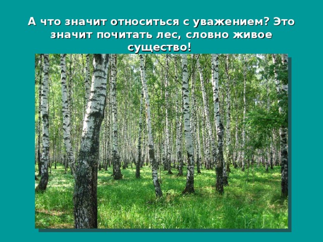 А что значит относиться с уважением? Это значит почитать лес, словно живое существо!  