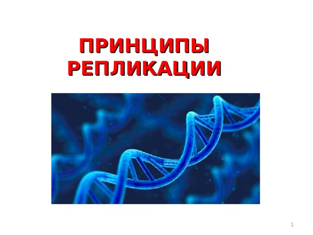  ПРИНЦИПЫ РЕПЛИКАЦИИ    