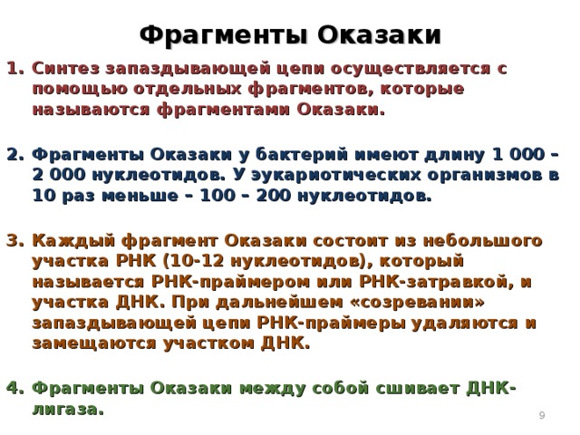 Фрагменты Оказаки Синтез запаздывающей цепи осуществляется с помощью отдельных фрагментов, которые называются фрагментами Оказаки. Фрагменты Оказаки у бактерий имеют длину 1 000 – 2 000 нуклеотидов. У эукариотических организмов в 10 раз меньше – 100 – 200 нуклеотидов.  Каждый фрагмент Оказаки состоит из небольшого участка РНК (10-12 нуклеотидов), который называется РНК-праймером или РНК-затравкой, и участка ДНК. При дальнейшем «созревании» запаздывающей цепи РНК-праймеры удаляются и замещаются участком ДНК.  Фрагменты Оказаки между собой сшивает ДНК-лигаза.  