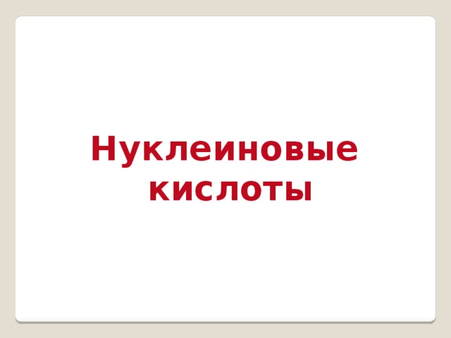 Нуклеиновые кислоты 