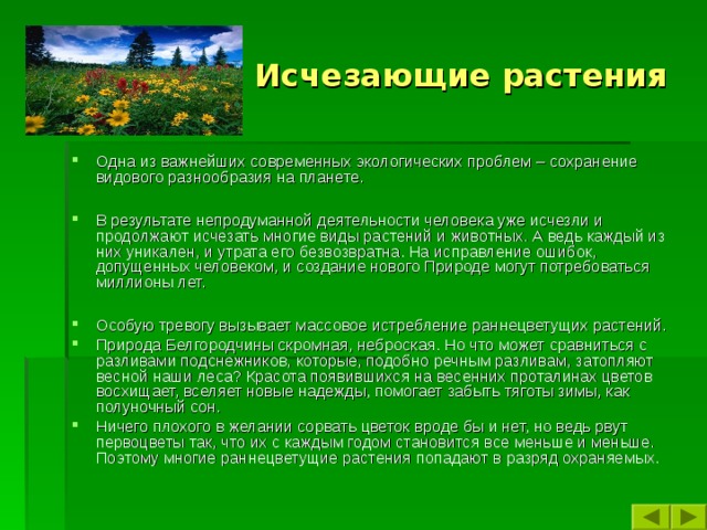    Исчезающие растения Одна из важнейших современных экологических проблем – сохранение видового разнообразия на планете.  В результате непродуманной деятельности человека уже исчезли и продолжают исчезать многие виды растений и животных. А ведь каждый из них уникален, и утрата его безвозвратна. На исправление ошибок, допущенных человеком, и создание нового Природе могут потребоваться миллионы лет.  Особую тревогу вызывает массовое истребление раннецветущих растений. Природа Белгородчины скромная, неброская. Но что может сравниться с разливами подснежников, которые, подобно речным разливам, затопляют весной наши леса? Красота появившихся на весенних проталинах цветов восхищает, вселяет новые надежды, помогает забыть тяготы зимы, как полуночный сон. Ничего плохого в желании сорвать цветок вроде бы и нет, но ведь рвут первоцветы так, что их с каждым годом становится все меньше и меньше. Поэтому многие раннецветущие растения попадают в разряд охраняемых. 