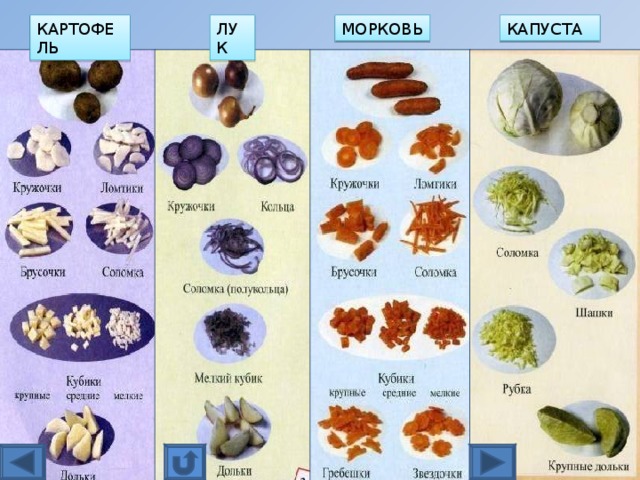 КАРТОФЕЛЬ ЛУК МОРКОВЬ КАПУСТА 