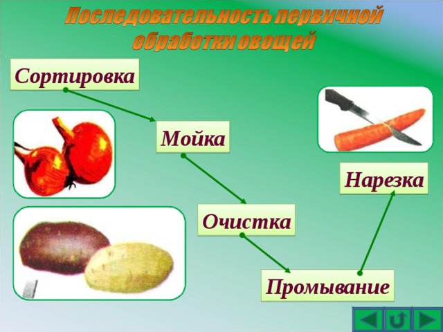 Сортировка Мойка Нарезка Очистка Промывание 
