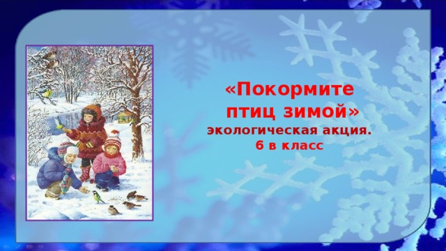 «Покормите  птиц зимой» экологическая акция. 6 в класс  