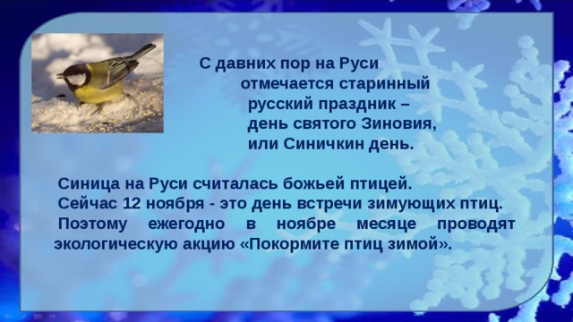  С давних пор на Руси  отмечается старинный  русский праздник –  день святого Зиновия,  или Синичкин день.  Синица на Руси считалась божьей птицей. Сейчас 12 ноября - это день встречи зимующих птиц. Поэтому ежегодно в ноябре месяце проводят экологическую акцию «Покормите птиц зимой».  