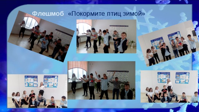Флешмоб  «Покормите птиц зимой» 