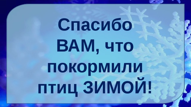  Спасибо ВАМ, что покормили птиц ЗИМОЙ!  