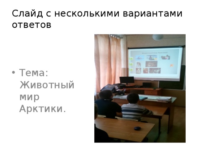 Слайд с несколькими вариантами ответов Тема: Животный мир Арктики. 