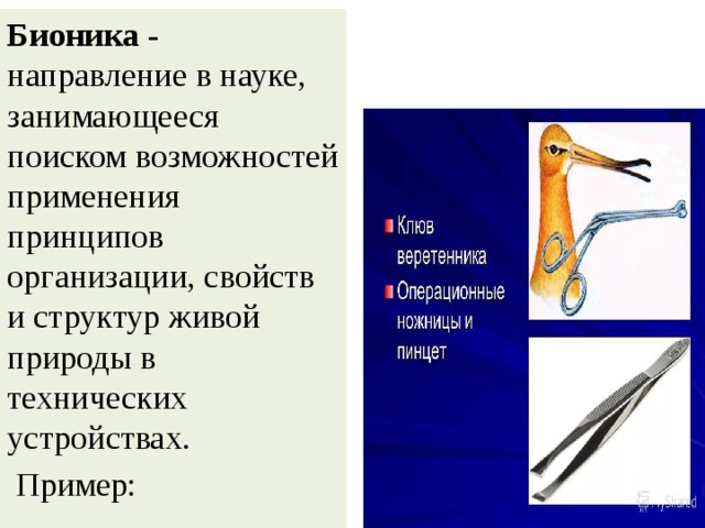 Бионика  - направление в науке, занимающееся поиском возможностей применения принципов организации, свойств и структур живой природы в технических устройствах.  Пример: 