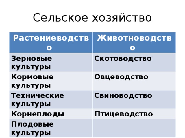 Сельское хозяйство Растениеводство Животноводство Зерновые культуры Скотоводство Кормовые культуры Овцеводство Технические культуры Свиноводство Корнеплоды Птицеводство Плодовые культуры 