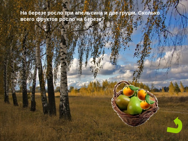 На березе росло три апельсина и две груши. Сколько всего фруктов росло на березе? 