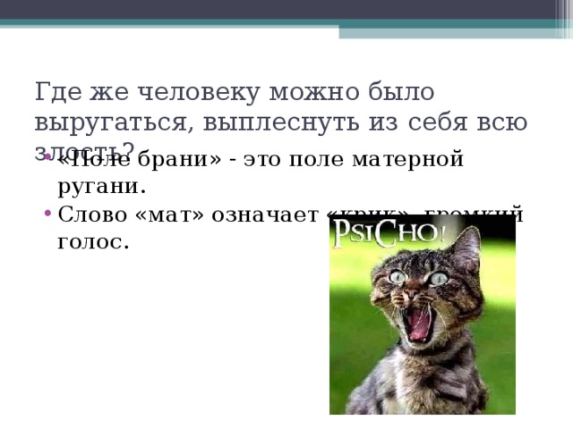 Где же человеку можно было выругаться, выплеснуть из себя всю злость? «Поле брани» - это поле матерной ругани. Слово «мат» означает «крик», громкий голос. 