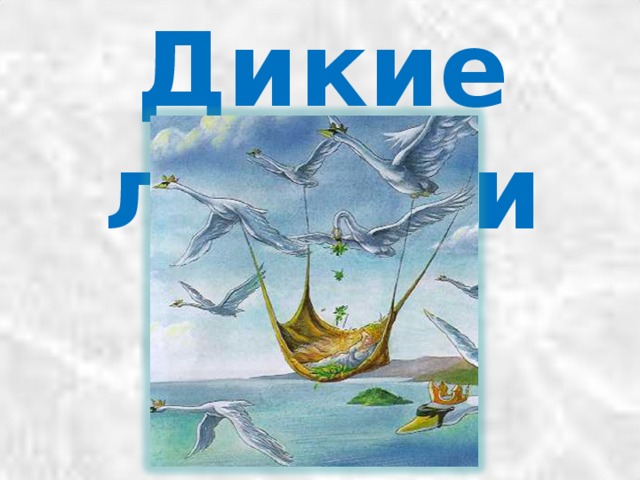 Дикие лебеди 
