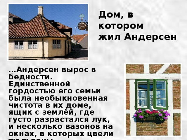 Дом, в котором жил Андерсен  … Андерсен вырос в бедности. Единственной гордостью его семьи была необыкновенная чистота в их доме, ящик с землёй, где густо разрастался лук, и несколько вазонов на окнах, в которых цвели тюльпаны. 