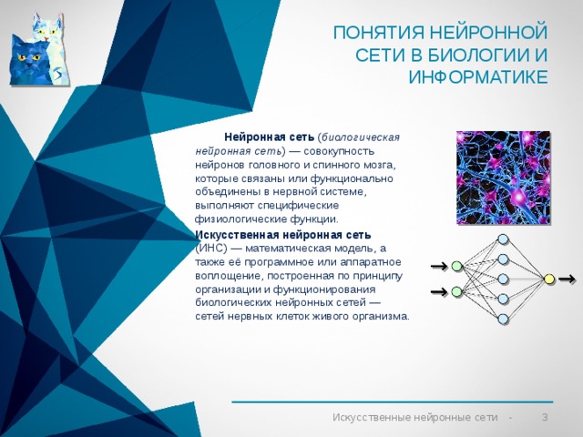 Понятия нейронной сети в Биологии и информатике  Нейронная сеть ( биологическая нейронная сеть ) — совокупность нейронов головного и спинного мозга, которые связаны или функционально объединены в нервной системе, выполняют специфические физиологические функции. Искусственная нейронная сеть (ИНС) — математическая модель, а также её программное или аппаратное воплощение, построенная по принципу организации и функционирования биологических нейронных сетей — сетей нервных клеток живого организма. 2 Искусственные нейронные сети 