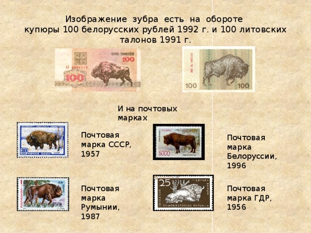 Изображение зубра есть на обороте  купюры 100 белорусских рублей 1992 г. и 100 литовских талонов 1991 г. И на почтовых марках Почтовая марка СССР, 1957 Почтовая марка Белоруссии, 1996 Почтовая марка Румынии, 1987 Почтовая марка ГДР, 1956 
