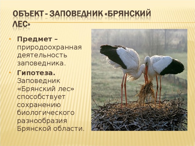 Предмет – природоохранная деятельность заповедника. Гипотеза. Заповедник «Брянский лес» способствует сохранению биологического разнообразия Брянской области. 