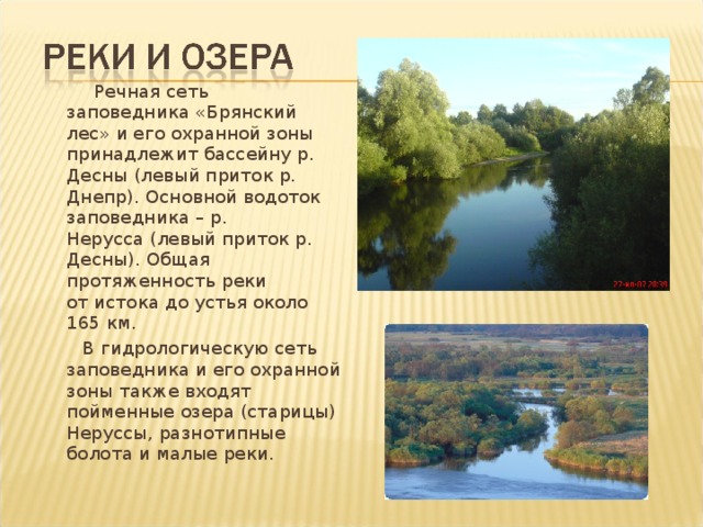  Речная сеть заповедника «Брянский лес» и его охранной зоны принадлежит бассейну р. Десны (левый приток р. Днепр). Основной водоток заповедника – р. Нерусса (левый приток р. Десны). Общая протяженность реки от истока до устья около 165 км.  В гидрологическую сеть заповедника и его охранной зоны также входят пойменные озера (старицы) Неруссы, разнотипные болота и малые реки. 