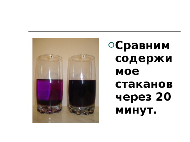 Сравним содержимое стаканов через 20 минут. 