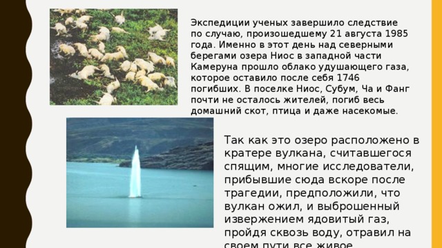 Экспедиции ученых завершило следствие по случаю, произошедшему 21 августа 1985 года. Именно в этот день над северными берегами озера Ниос в западной части Камеруна прошло облако удушающего газа, которое оставило после себя 1746 погибших. В поселке Ниос, Субум, Ча и Фанг почти не осталось жителей, погиб весь домашний скот, птица и даже насекомые. Так как это озеро расположено в кратере вулкана, считавшегося спящим, многие исследователи, прибывшие сюда вскоре после трагедии, предположили, что вулкан ожил, и выброшенный извержением ядовитый газ, пройдя сквозь воду, отравил на своем пути все живое. 