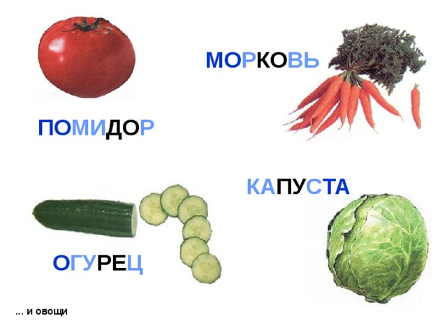 МО Р КО ВЬ ПО МИ ДО Р КА ПУ С ТА О ГУ РЕ Ц ... и овощи 
