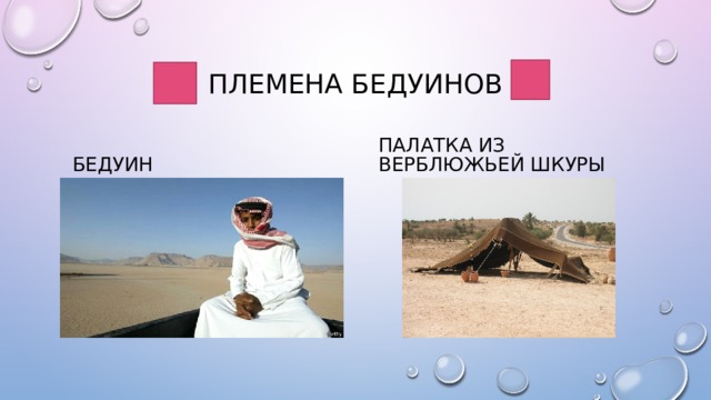 Племена бедуинов Бедуин Палатка из верблюжьей шкуры 