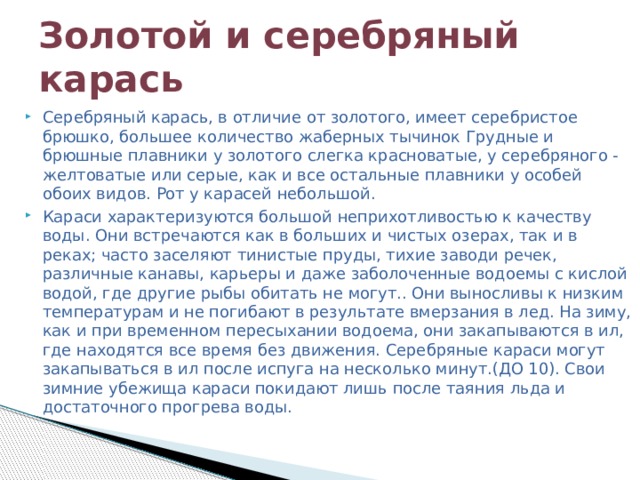 Золотой и серебряный карась Серебряный карась, в отличие от золотого, имеет серебристое брюшко, большее количество жаберных тычинок Грудные и брюшные плавники у золотого слегка красноватые, у серебряного - желтоватые или серые, как и все остальные плавники у особей обоих видов. Рот у карасей небольшой. Караси характеризуются большой неприхотливостью к качеству воды. Они встречаются как в больших и чистых озерах, так и в реках; часто заселяют тинистые пруды, тихие заводи речек, различные канавы, карьеры и даже заболоченные водоемы с кислой водой, где другие рыбы обитать не могут.. Они выносливы к низким температурам и не погибают в результате вмерзания в лед. На зиму, как и при временном пересыхании водоема, они закапываются в ил, где находятся все время без движения. Серебряные караси могут закапываться в ил после испуга на несколько минут.(ДО 10). Свои зимние убежища караси покидают лишь после таяния льда и достаточного прогрева воды. 