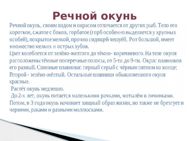 Речной окунь 