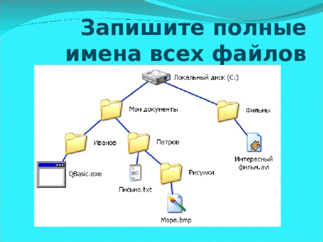 Запишите полные имена всех файлов 