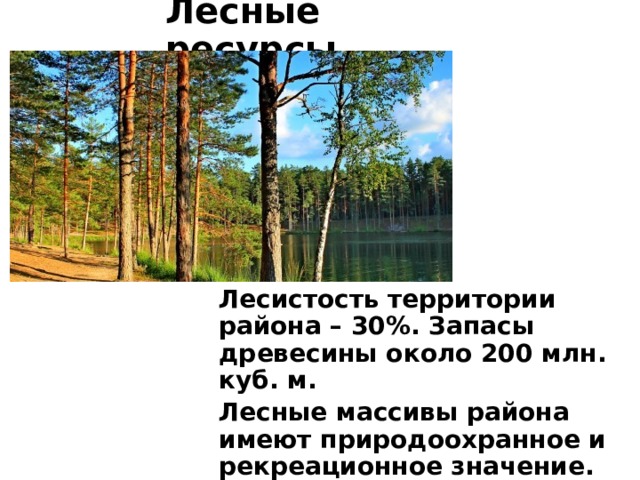 Лесные ресурсы Лесистость территории района – 30%. Запасы древесины около 200 млн. куб. м. Лесные массивы района имеют природоохранное и рекреационное значение. 