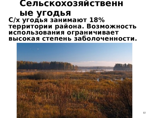 Сельскохозяйственные угодья С/х угодья занимают 18% территории района. Возможность использования ограничивает высокая степень заболоченности.  