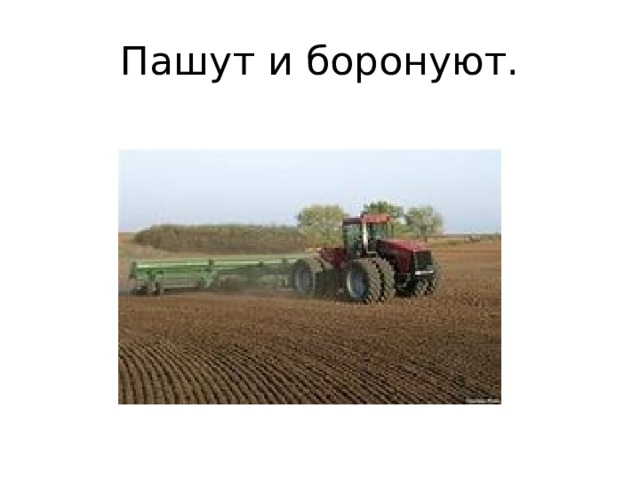Пашут и боронуют. 