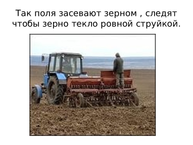 Так поля засевают зерном , следят чтобы зерно текло ровной струйкой. 