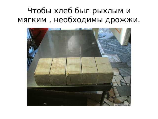 Чтобы хлеб был рыхлым и мягким , необходимы дрожжи. 