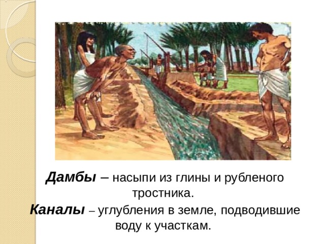 Дамбы  – насыпи из глины и рубленого тростника. Каналы  – углубления в земле, подводившие воду к участкам. 