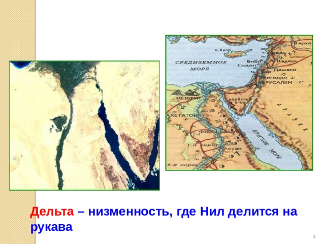   Дельта  – низменность, где Нил делится на рукава  