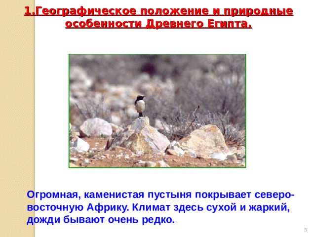 1.Географическое положение и природные особенности Древнего Египта.   Огромная, каменистая пустыня покрывает северо-восточную Африку. Климат здесь сухой и жаркий, дожди бывают очень редко.  