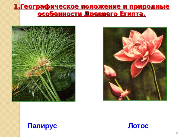 1.Географическое положение и природные особенности Древнего Египта.   Папирус Лотос  