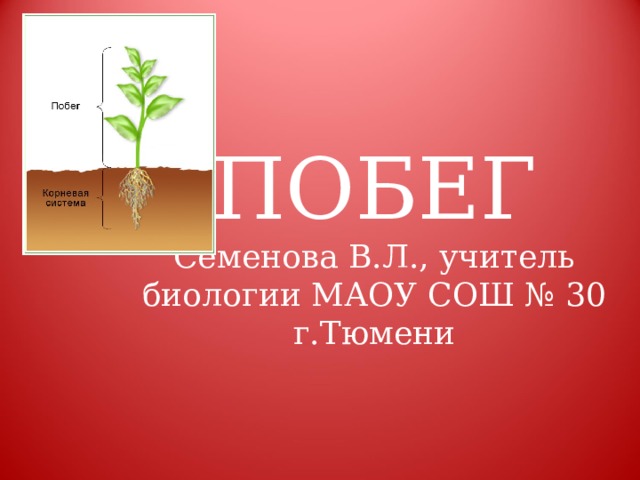 ПОБЕГ  Семенова В.Л., учитель биологии МАОУ СОШ № 30 г.Тюмени 