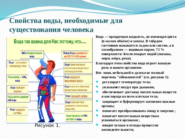 Свойства воды, необходимые для существования человека   Вода — прозрачная жидкость, не имеющая цвета (в малом объёме) и запаха. В твёрдом состоянии называется льдом или снегом, а в газообразном — водяным паром. 71 % поверхности Земли покрыт водой (океаны, моря, озёра, реки). Благодаря этим свойства вода играет важную роль в нашем организме. Вот лишь небольшой и далеко не полный перечень 