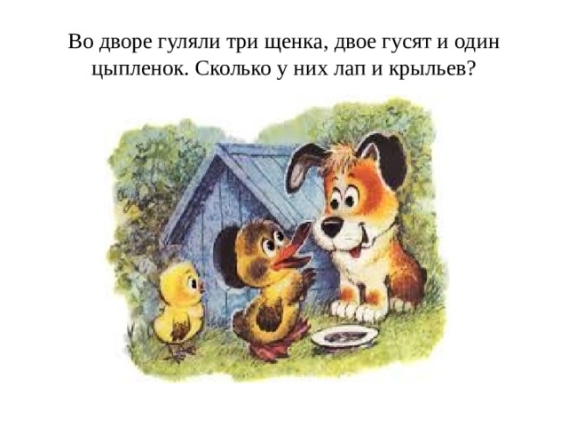Во дворе гуляли три щенка, двое гусят и один цыпленок. Сколько у них лап и крыльев? 