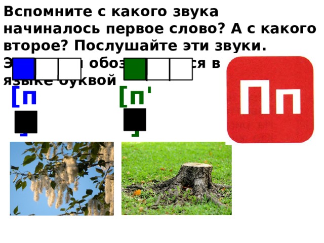 Вспомните с какого звука начиналось первое слово? А с какого второе? Послушайте эти звуки. Эти звуки обозначаются в русском языке буквой [п] [п'] 