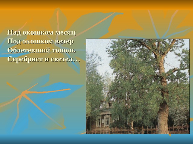 Над окошком месяц  Под окошком ветер  Облетевший тополь  Серебрист и светел… 