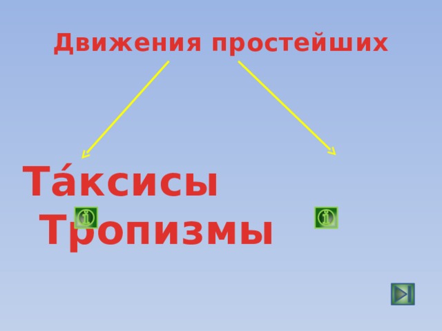 Движения простейших Та́ксисы Тропизмы 