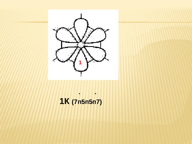 1  . . 1К  (7п5п5п7) 
